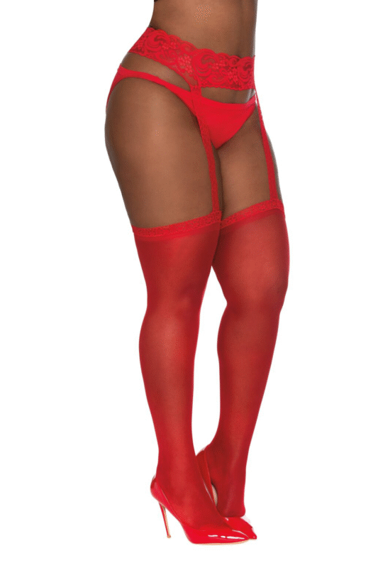 Sheer Suspender Pantyhose Plus Size-1