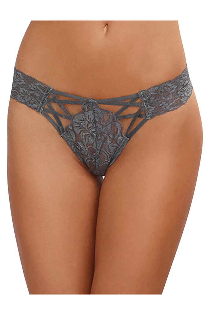 Criss Cross Lace Panty-1