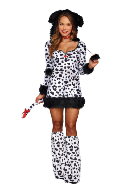 Dalmatian Darling-1
