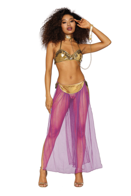 Harem Hottie Roleplay Set-1