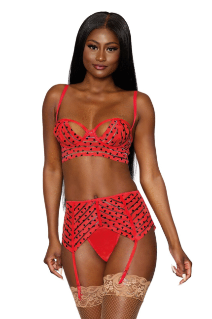 Sheer Stripe Heart Print Garter Set-1