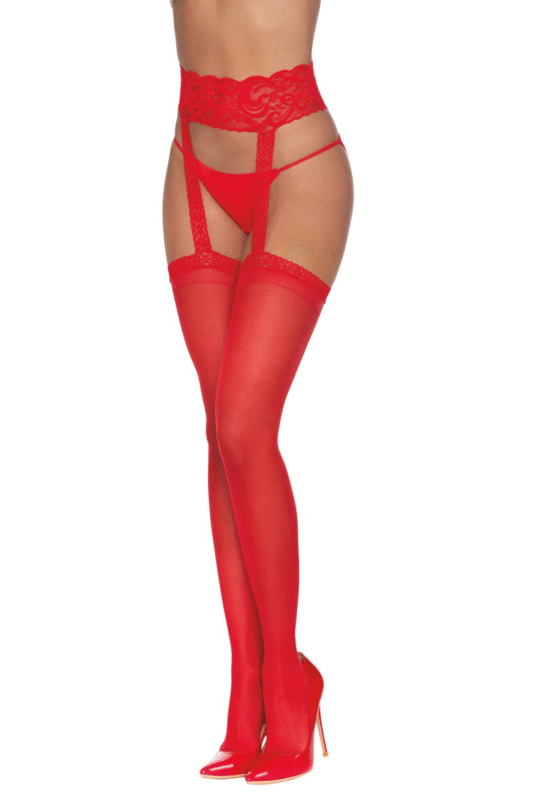 Sheer Suspender Pantyhose-1