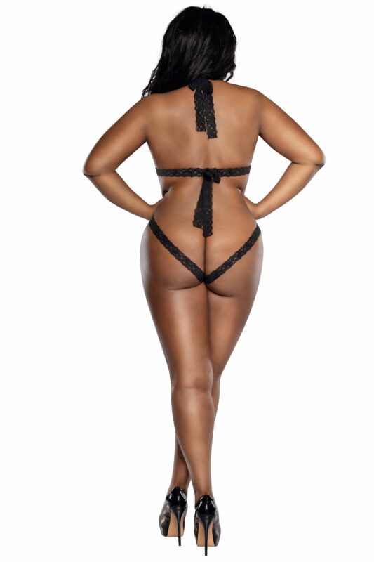 Lace and Net Teddy Plus-2