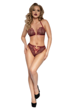 Stretch Floral Lace Bra Set-1