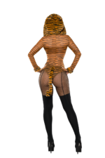 Tigress-2