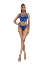 Lacey Cropped Bustier Set-1